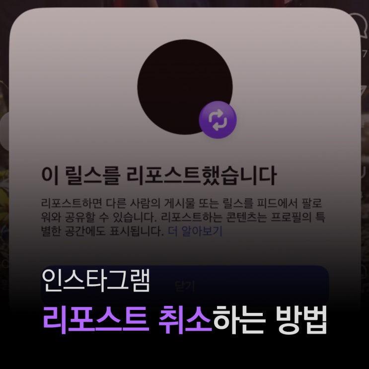  인스타그램 리포스트 실수로 눌렀다면? 취소하는 방법