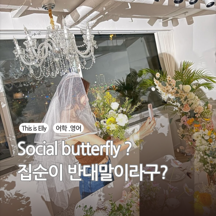  집순이 반대되는 영어 표현 원어민들이 자주 쓰는 단어 정리
