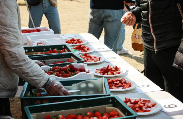  논산딸기축제 주차 체험 논산시민공원