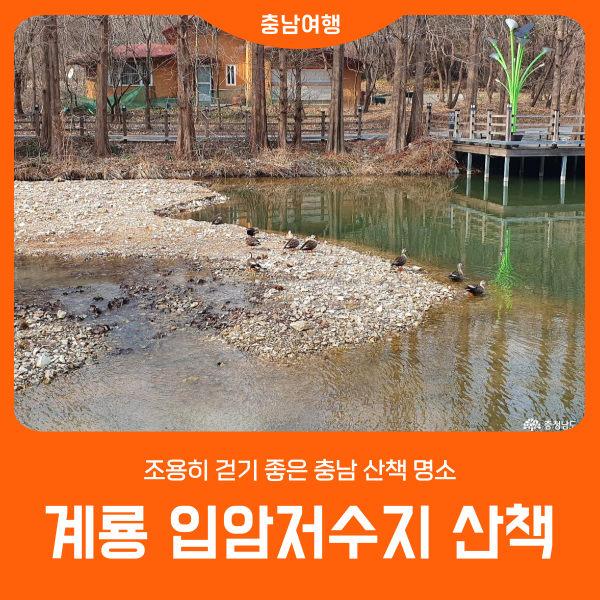 사진 5