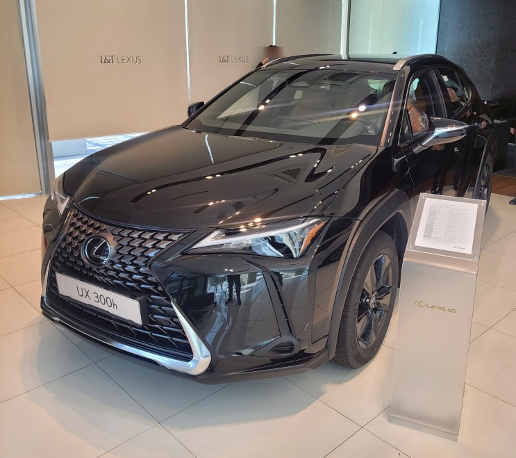  렉서스 UX300h, 전시차 구경 및 리뷰 (구입 예정?)