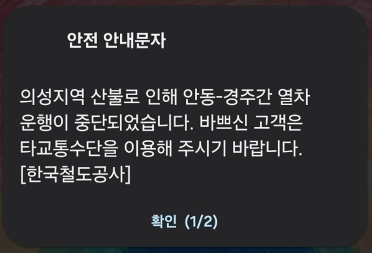<b>운행중단</b>! <b>의성 산불</b>로 코레일 안동~경주역 <b>열차</b>