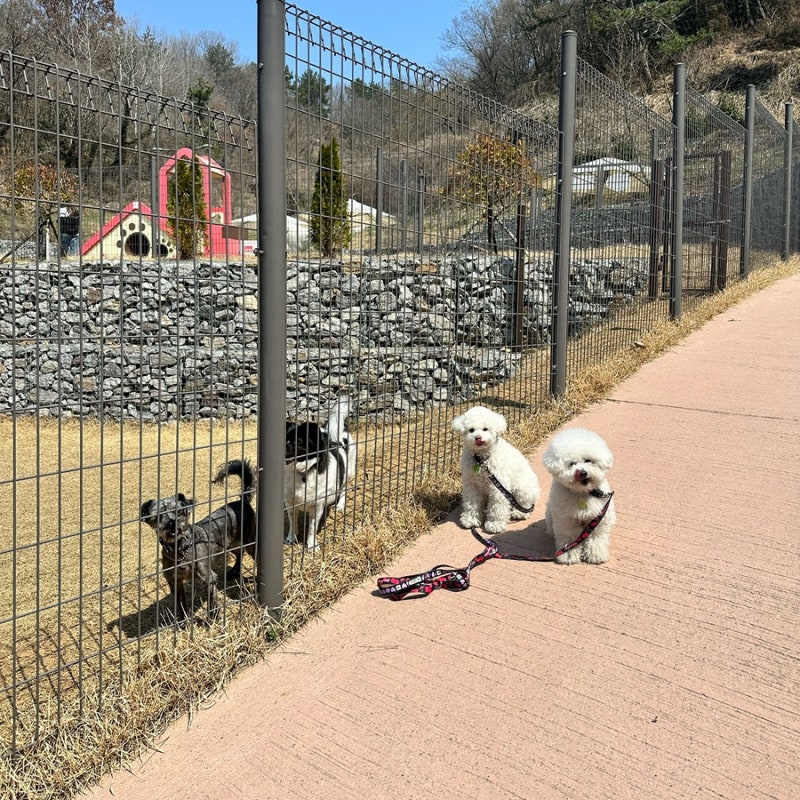 사진 5