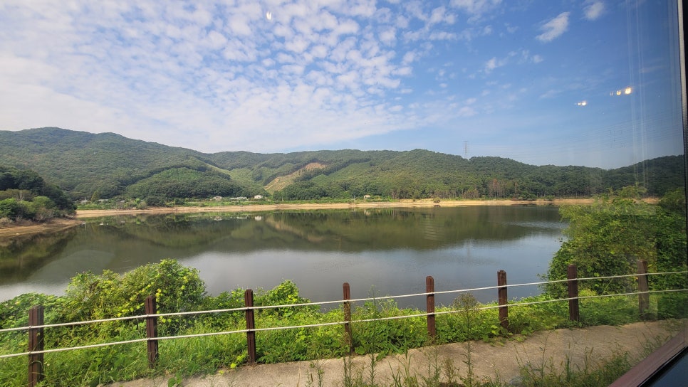 더나이스뷰 사진 4