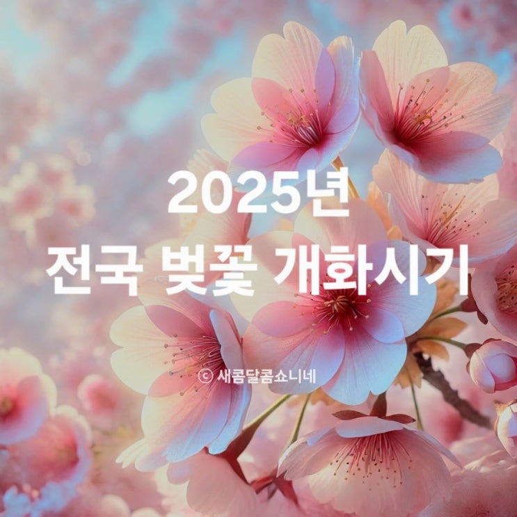  2025 전국 벚꽃 개화시기,  네이버 봄꽃 지도