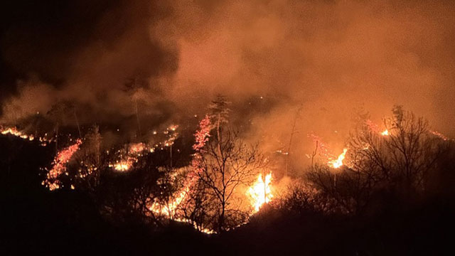 전국 <b>산불 재난 국가위기경보</b> ‘<b>심각</b>’ 단계… 예방과 대응... 