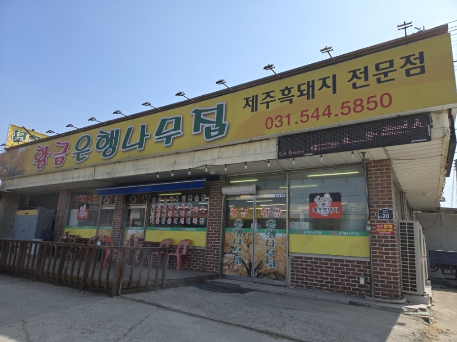 황금은행나무집 사진 2