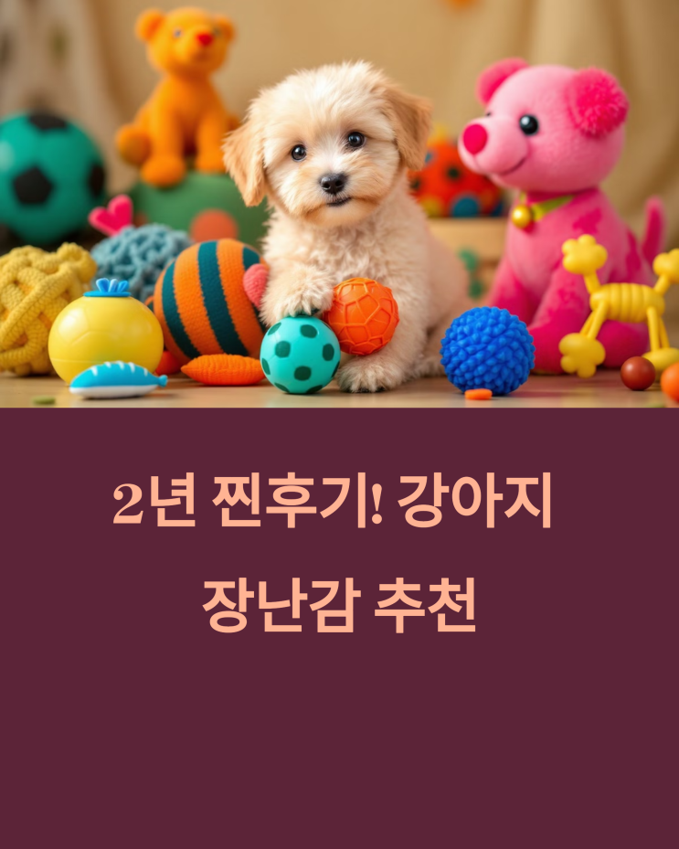 2년 찐 후기! 강아지 장난감 추천: 말이 푸 호두가 사랑한 꿀 템 총정리