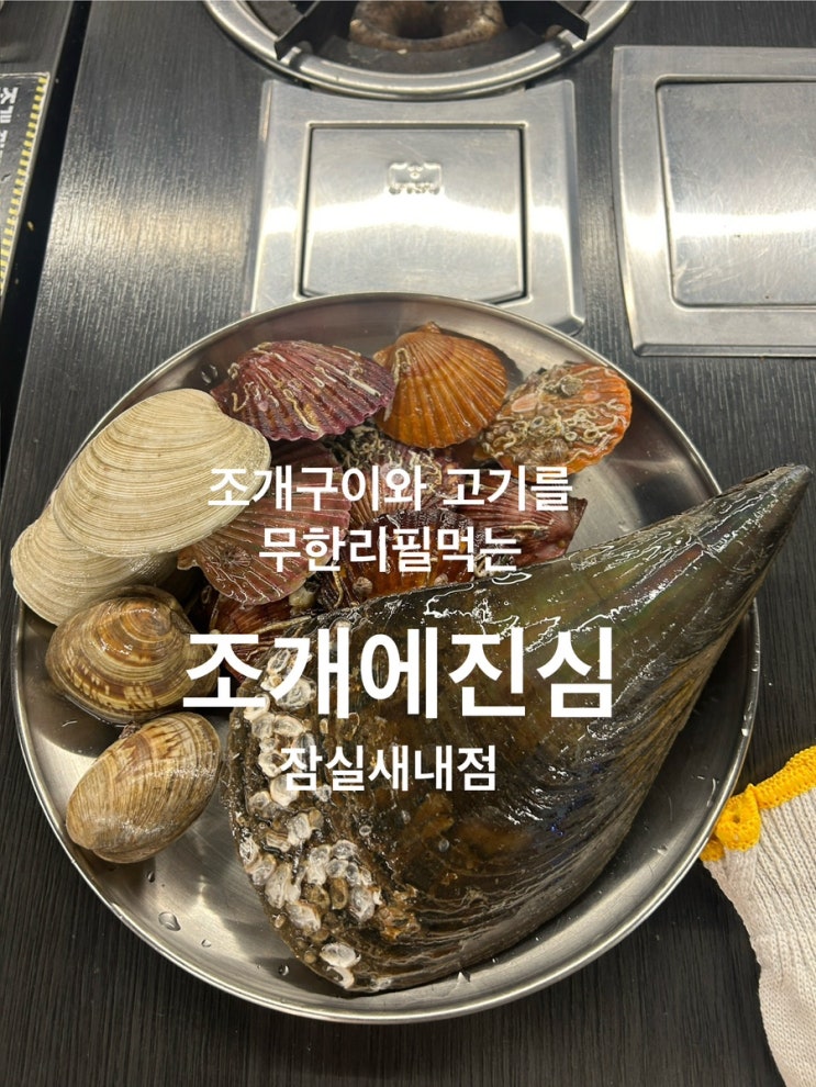  (내돈내산)[잠실] 조개구이 무한리필 조개에진심