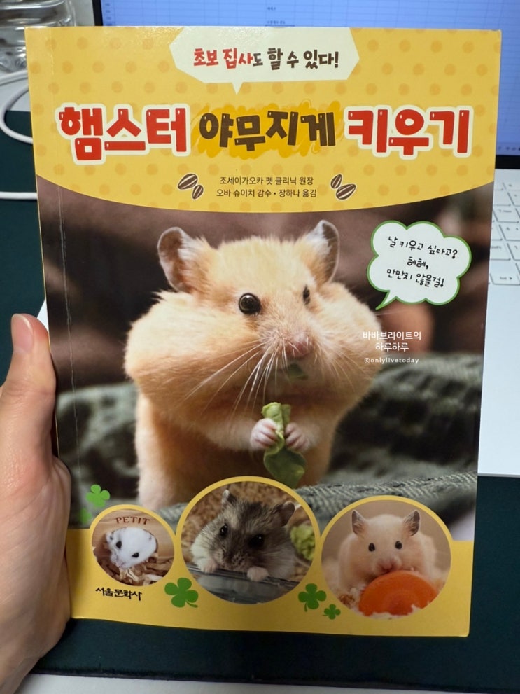  골든햄스터 키우기 준비 1탄 책 야무지게 보기