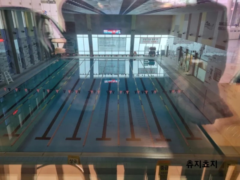 동탄2수영장 동탄어울림체육센터 수영장 주말 일요일 오전 자유수영 후기 자유수영일기 수....