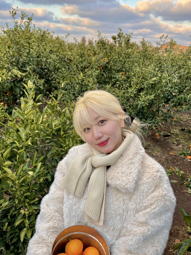  활기찬 봄과 여름에 어울리는 복정 미용실 여자 염색은?