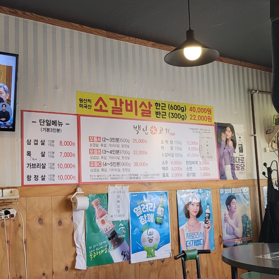 백년수고기 사진 4