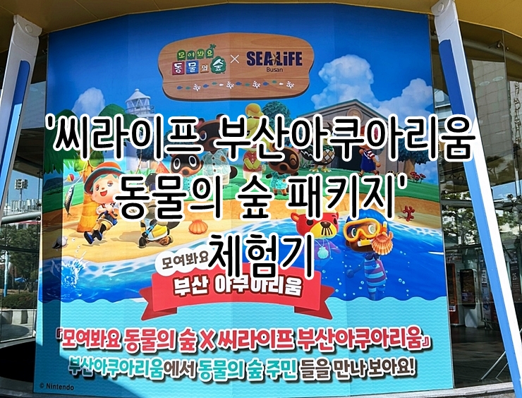  부산 해운대 '씨라이프 부산아쿠아리움 동물의 숲 패키지' 체험기