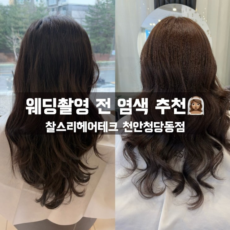  웨딩촬영 전 염색 추천 : 찰스리헤어테크 천안청당동점 브라운 염색 후기