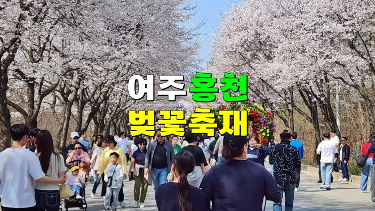 경기도 벚꽃명소 4월 가볼만한곳 · 2025 여주 홍천남한강 벚꽃축제 기본정보 개화시기 경기도 벚꽃명소 4월 가볼만한곳 · 2025 여주 홍천남한강 벚꽃축제 기본정보 개화시기