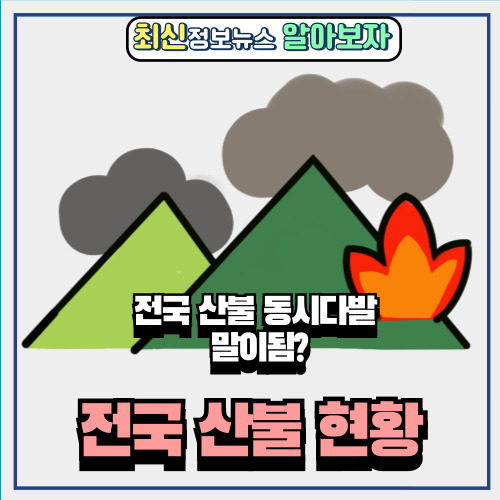  전국 산불 현황 동시다발한 화재 말이됨? 의심해보자