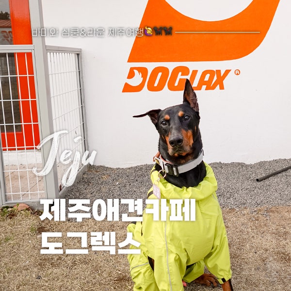 사진 8