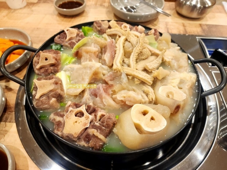  [경기 안양] 프라이빗 회식 장소 추천 동편마을 맛집 장내동도가니
