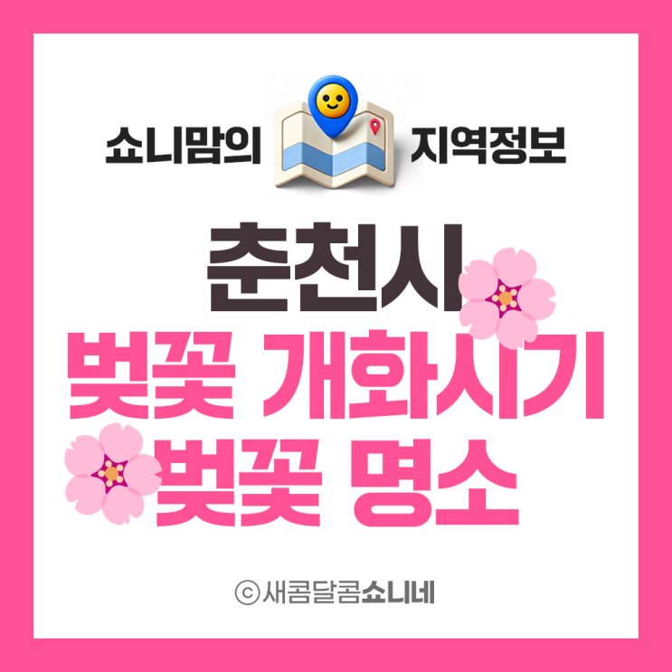 2025 춘천 벚꽃 개화시기와 벚꽃 명소 바로 여기!