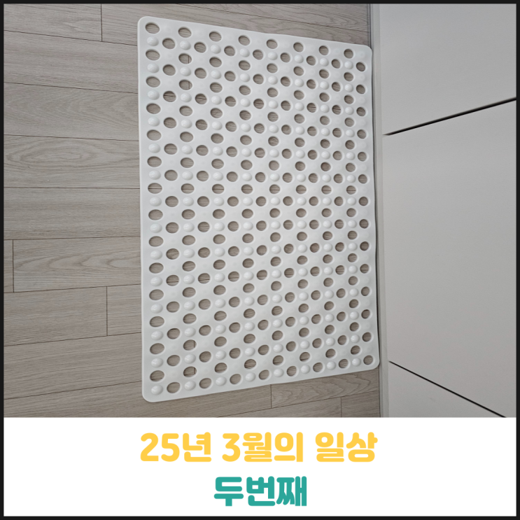 25년 3월의 일상 두번째 25년 3월의 일상 두번째