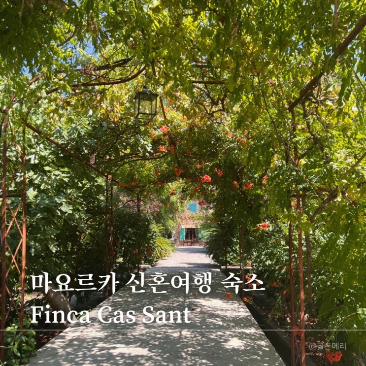  스페인 마요르카 신혼여행호텔 핀카 카스 산트(Finca Cas Sant) 예약팁/ 조식/ 수영장