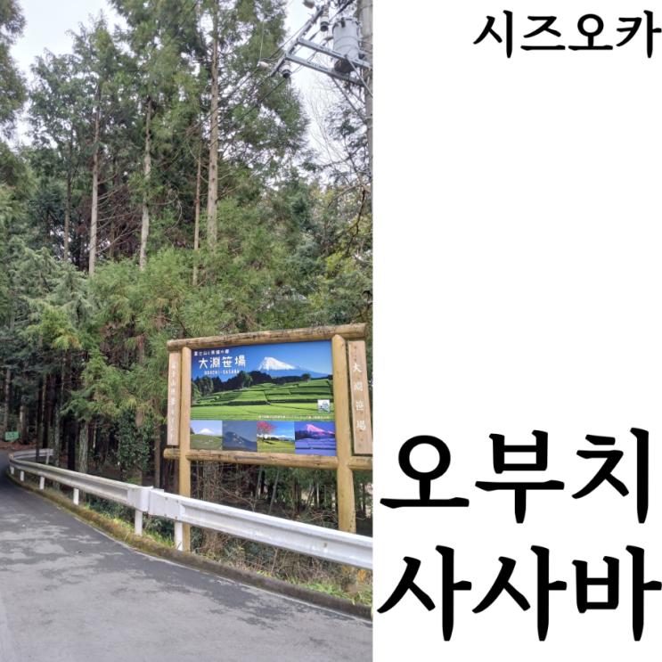  [웰니스여행/시즈오카]후지산뷰 추천코스 녹차밭 오부치사사바 위치