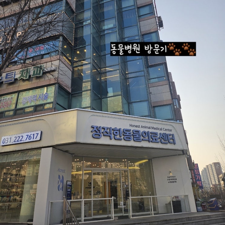  [강아지] 수원시청역 인근 동물병원 '정직한동물의료센터'