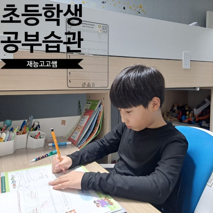  [초6 공부 고민] 워킹맘이자 학습지 선생님이 전하는 공부 습관 이야기