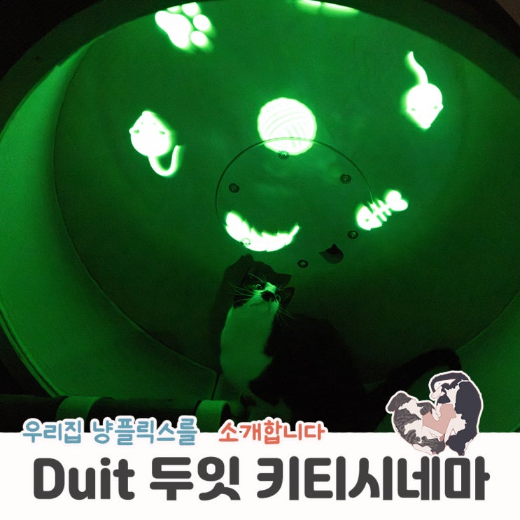  두잇 키티 시네마로 우리집 고양이 냥플릭스 즐기기