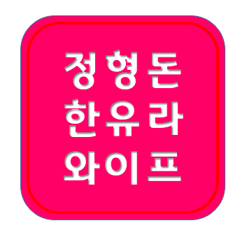 정형돈 와이프 한유라 생활 ; 하와이, 이혼, 디시, 다이어트
