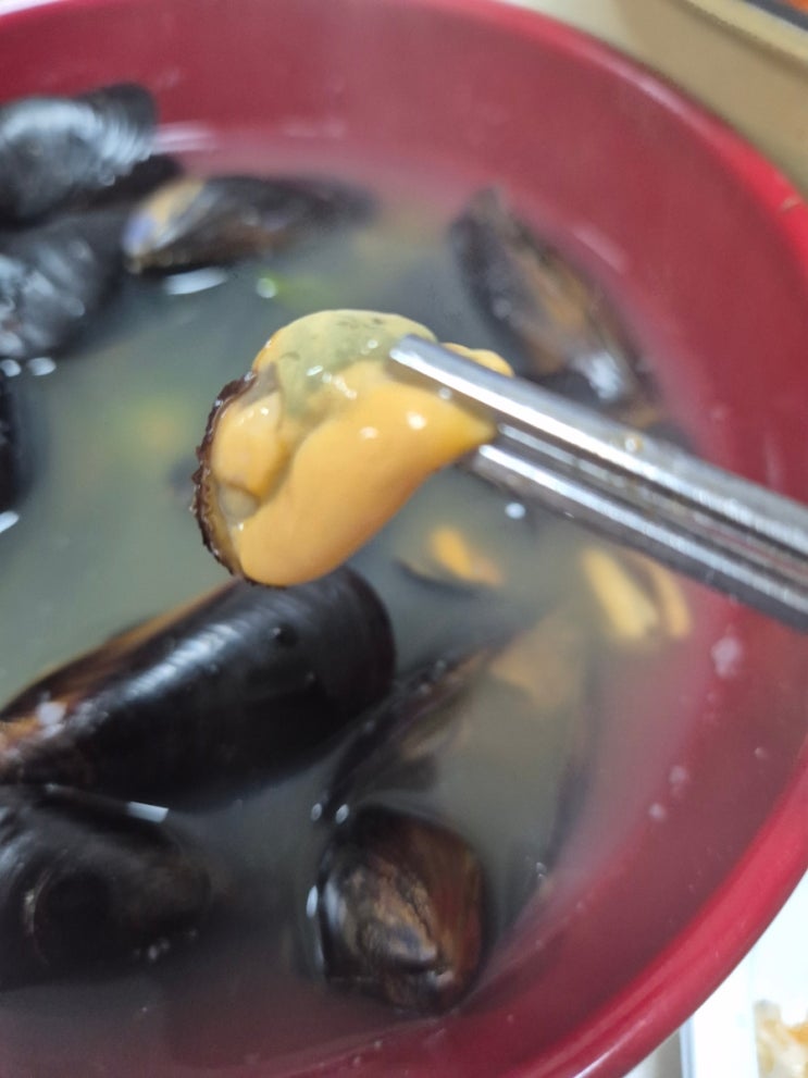 주야수산 자숙 피홍합요리 홍합탕 끓이는 법 주야수산 자숙 피홍합요리 홍합탕 끓이는 법