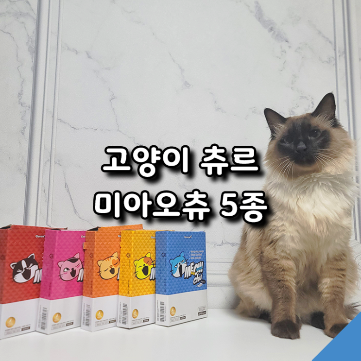  기호성과 가성비 모두 잡은 미아오츄 츄르 솔직 리뷰