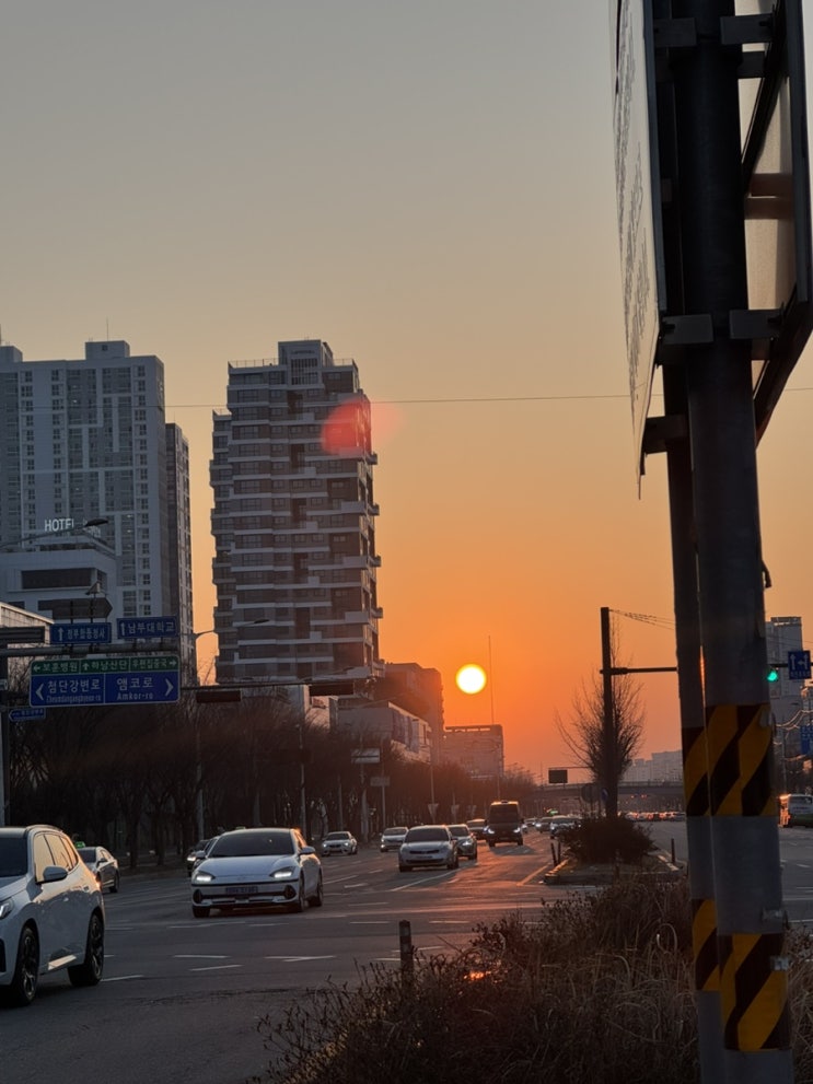  3월 셋째주 냐암의 일상 몰아보기