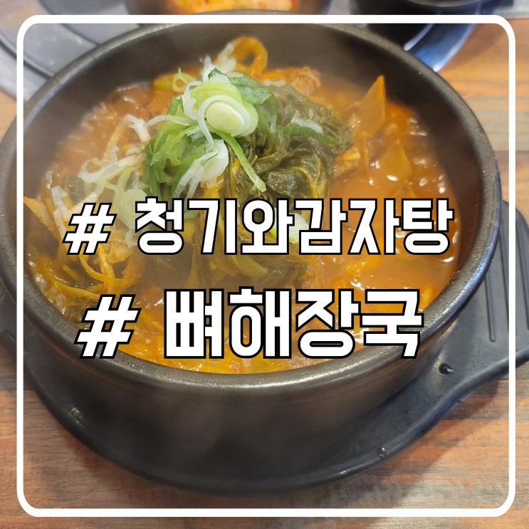  시흥 배곧 뼈해장국 맛집 파김치국 느낌 모임하기 좋은 청기와감자탕