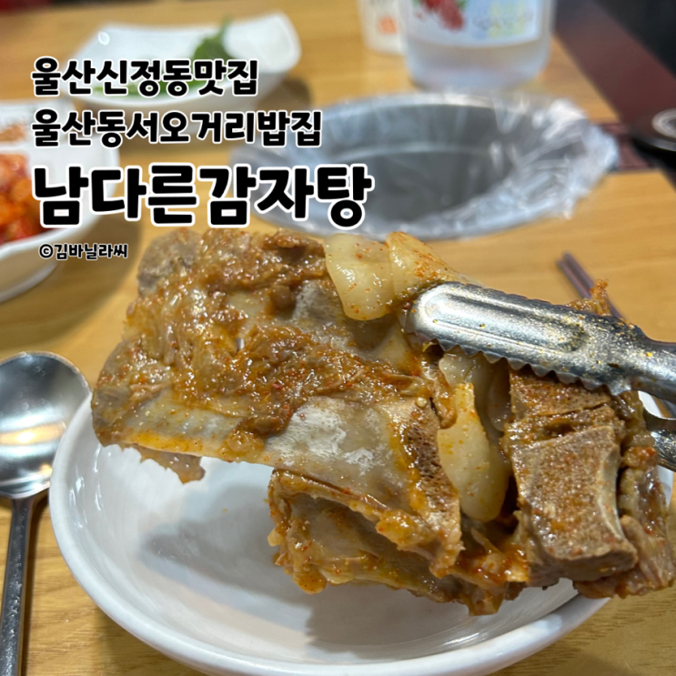  울산 신정동 맛집 남다른감자탕 동서오거리 모임 회식 장소 추천