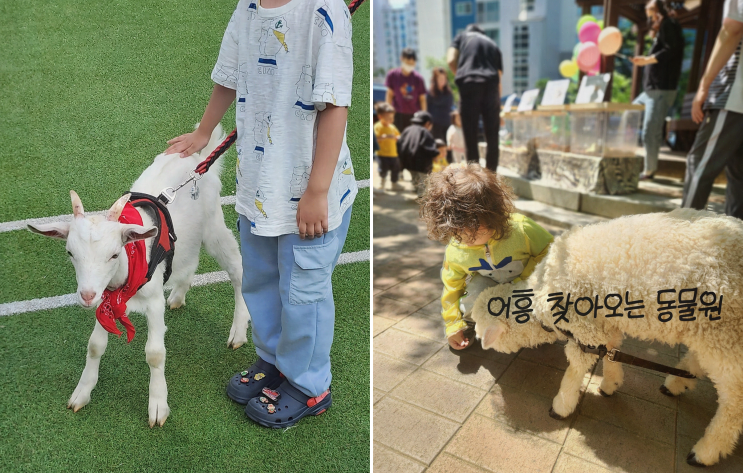  아이들과 함께하는 어흥이벤트의 찾아오는 동물원 체험 프로그램