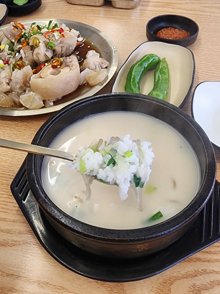  광주 도가니탕 맛집 황금곰탕 아기랑 방문