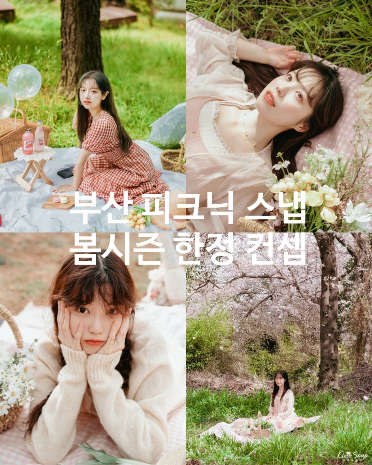  부산 시민공원 봄 피크닉 스냅사진 벚꽃 촬영 시엘로 스냅