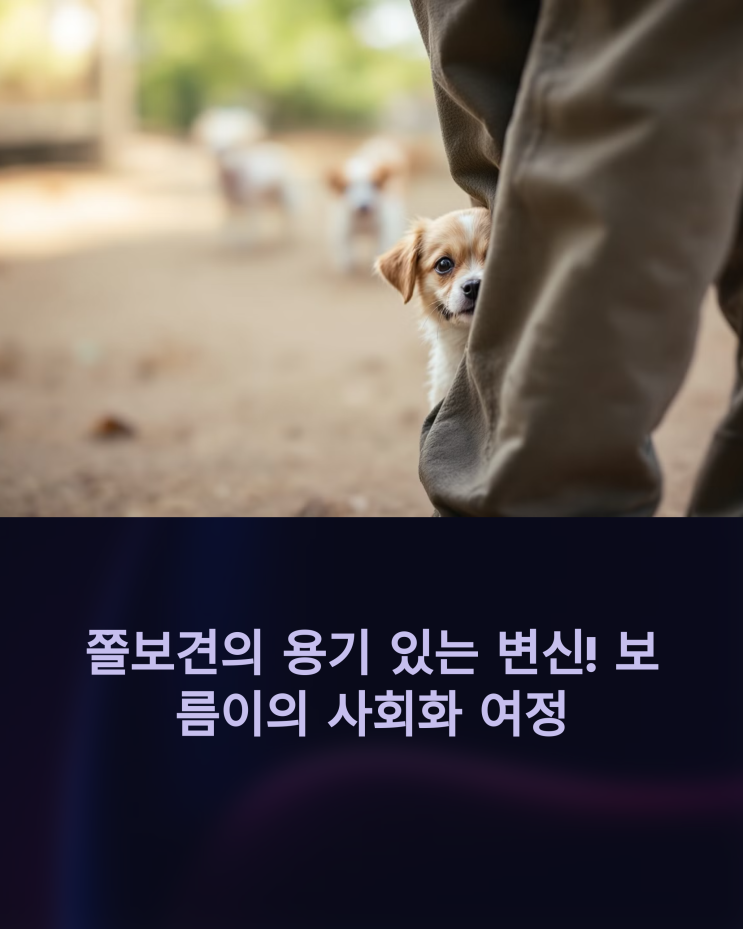  쫄보견 보름이의 사회화 교육 도전 기와 노래로 행동 클리닉 리얼 후기
