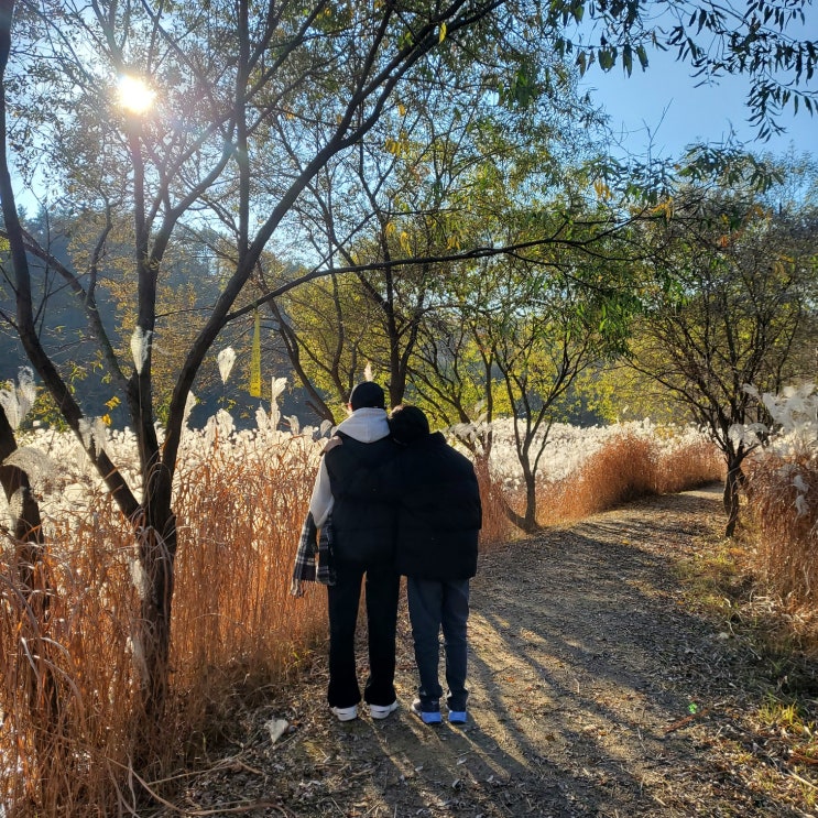  대전근교 대청호 오백리길 가볼만한 산책코스_명상정원(주차정보)