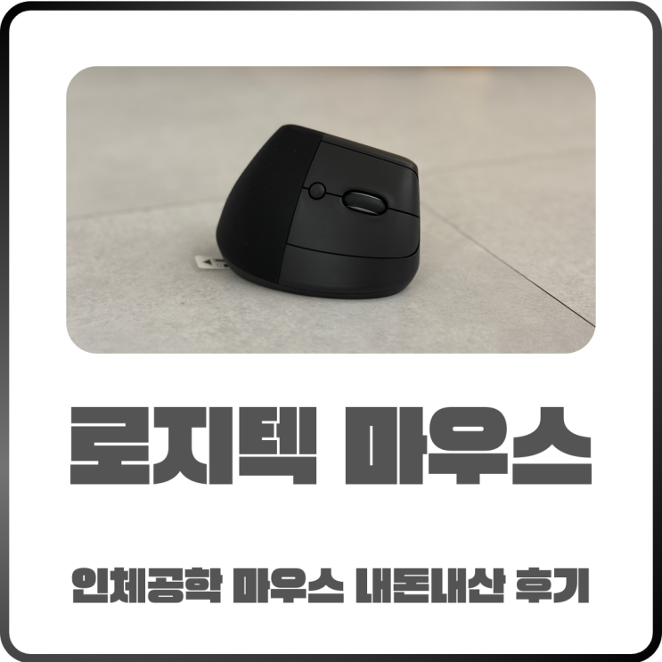  로지텍 버티컬 마우스! 인체공학 마우스 내돈내산 후기