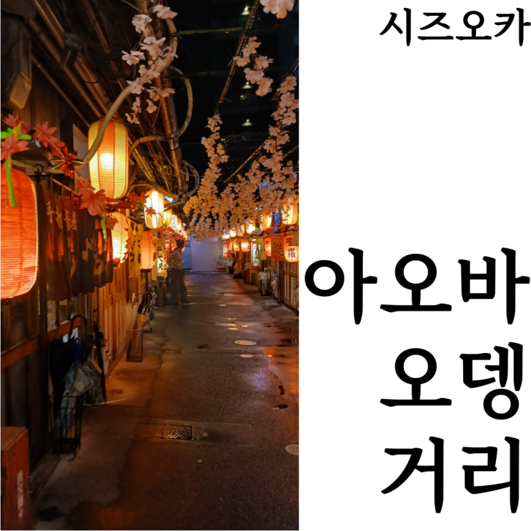  [시즈오카여행]맛집 이자카야 추천코스 아오바 오뎅거리(青葉おでん街)