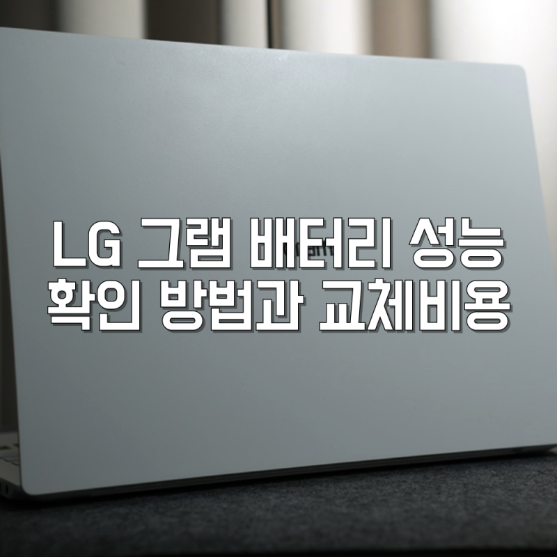 LG 그램 배터리 성능 확인 방법과 교체비용 정리