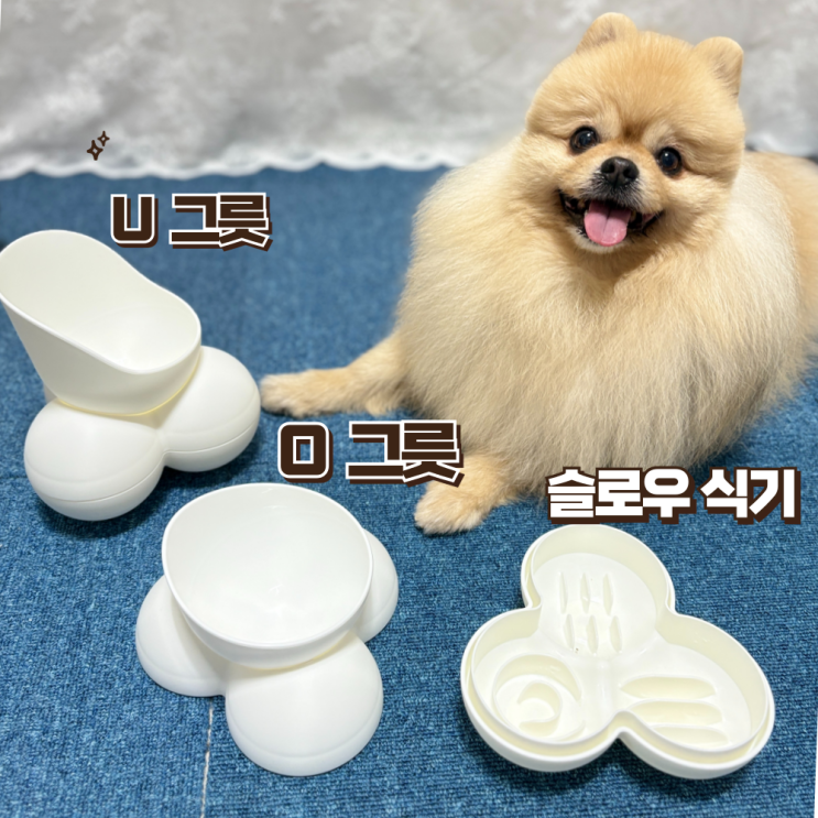  강아지밥그릇 오유 슬로우식기 전자렌지 찜기 높이조절 다 돼