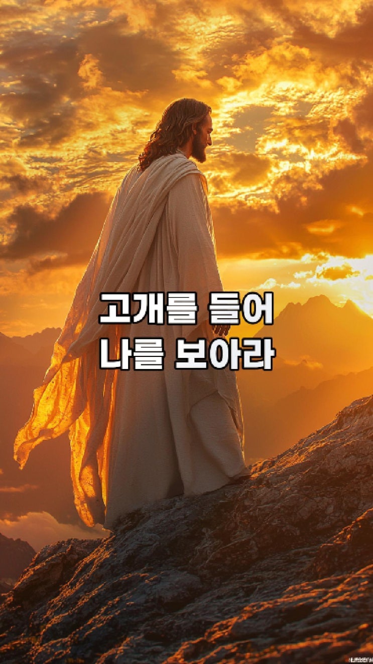  예수님의 메시지: 고개를 들어 나를 보아라  예수님 마음️