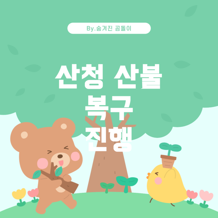  산청 산불, 현재 상황과 피해 복구 노력