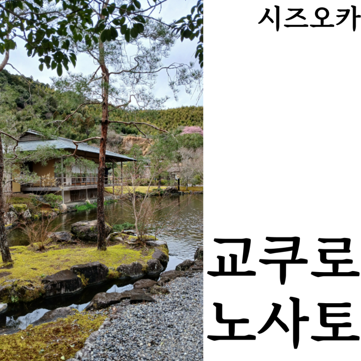  [웰니스여행/시즈오카]추천코스 맛집 기념품 교쿠로노사토(玉露の里)