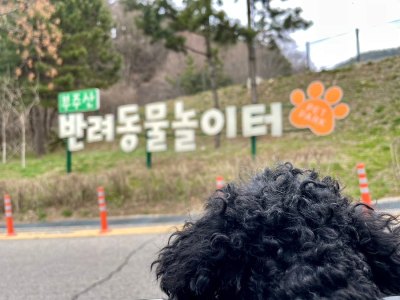 사진 4