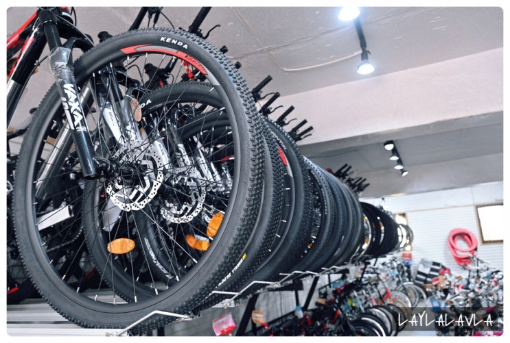  포항자전거 포항MTB, 입문부터 전문가까지 삼천리자전거흥해점